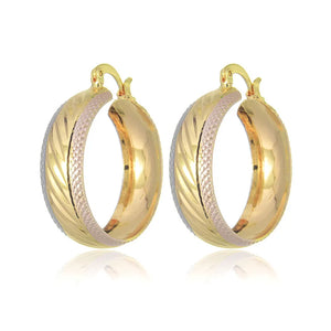Trendy Gold Plated Hoop Earrings